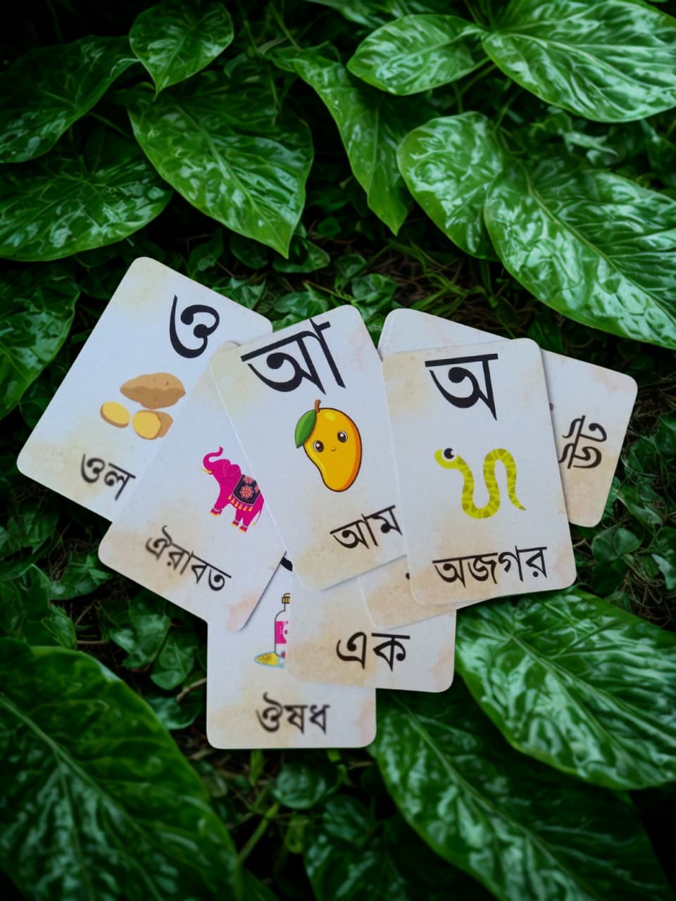 VOWEL Bengali Vowels and Consonants Flashcards - Image 3